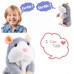 🔥HOT SALE NOW 49% OFF 🎁  - Talking Hamster Plush Toy